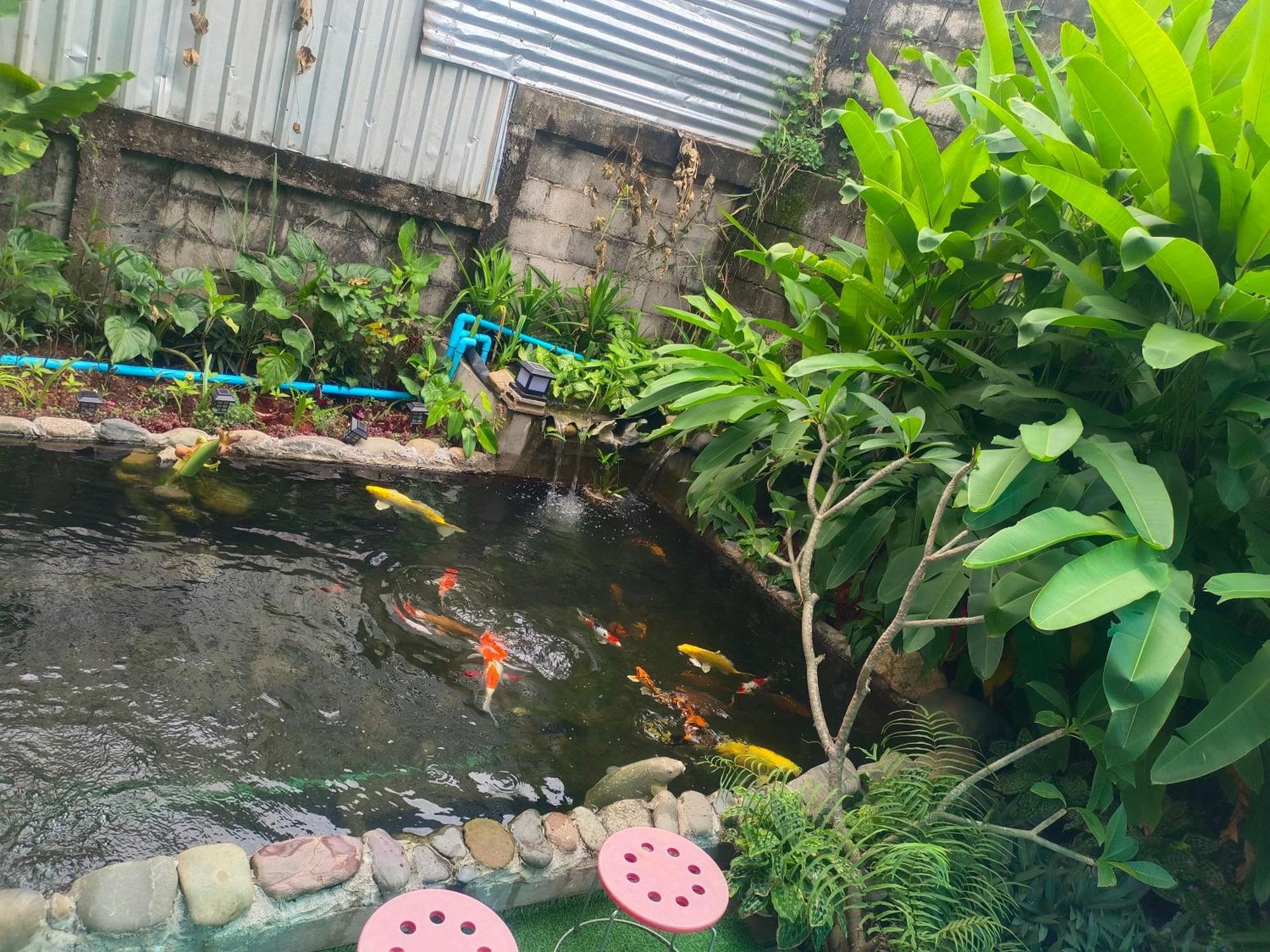 Vang Vieng Champa Hotel Екстериор снимка